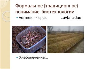 Формальное (традиционное)
понимание биотехнологии
 vermes – червь Luvbricidae
 Хлебопечение…
 
