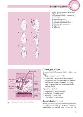 Basic anatomy pdf | PDF