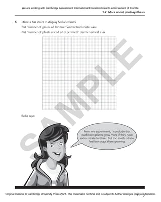 1.2 More about photosynthesis
5 Draw a bar chart to display Sofia’s results.
Put ‘number of grains of fertiliser’ on the horizontal axis.
Put ‘number of plants at end of experiment’ on the vertical axis.
Sofia says:
From my experiment, I conclude that
duckweed plants grow more if they have
extra nitrate fertiliser. But too much nitrate
fertiliser stops them growing.
11
S
A
M
P
L
E
We are working with Cambridge Assessment International Education towards endorsement of this title.
Original material © Cambridge University Press 2021. This material is not final and is subject to further changes prior to publication.
 