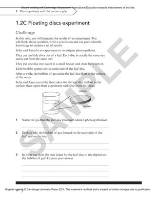 1.2C Floating discs experiment
Challenge
In this task, you will interpret the results of an experiment. You
will think about variables, write a conclusion and use your scientific
knowledge to explain a set of results.
Sofia and Zara do an experiment to investigate photosynthesis.
They cut ten little discs out of a leaf. Each disc is exactly the same size
and is cut from the same leaf.
They put one disc into water in a small beaker and shine light onto it.
Little bubbles appear on the underside of the leaf disc.
After a while, the bubbles of gas make the leaf disc float to the surface
of the water.
Sofia and Zara record the time taken for the leaf disc to float to the
surface, then repeat their experiment with four more leaf discs.
leaf disc
bubbles
1 Name the gas that the leaf disc produced when it photosynthesised.
2 Explain why the bubbles of gas formed on the underside of the
leaf, not on the top.
3 In what way does the time taken for the leaf disc to rise depend on
the bubbles of gas? Explain your answer.
14
1 Photosynthesis and the carbon cycle
S
A
M
P
L
E
We are working with Cambridge Assessment International Education towards endorsement of this title.
Original material © Cambridge University Press 2021. This material is not final and is subject to further changes prior to publication.
 