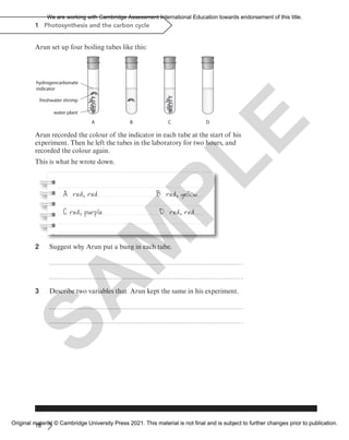 18
1 Photosynthesis and the carbon cycle
Arun set up four boiling tubes like this:
A B
hydrogencarbonate
indicator
C D
water plant
freshwater shrimp
Arun recorded the colour of the indicator in each tube at the start of his
experiment. Then he left the tubes in the laboratory for two hours, and
recorded the colour again.
This is what he wrote down.
A red, red B red, yellow
C red, purple D red, red
2 Suggest why Arun put a bung in each tube.
3 Describe two variables that Arun kept the same in his experiment.
S
A
M
P
L
E
We are working with Cambridge Assessment International Education towards endorsement of this title.
Original material © Cambridge University Press 2021. This material is not final and is subject to further changes prior to publication.
 