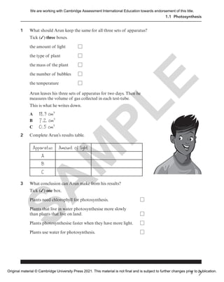 3
1.1 Photosynthesis
1 What should Arun keep the same for all three sets of apparatus?
Tick (✓) three boxes.
the amount of light
the type of plant
the mass of the plant
the number of bubbles
the temperature
Arun leaves his three sets of apparatus for two days. Then he
measures the volume of gas collected in each test-tube.
This is what he writes down.
A 18.3 cm3
B 7.2 cm3
C 0.5 cm3
2 Complete Arun’s results table.
Apparatus Amount of light
A
B
C
3 What conclusion can Arun make from his results?
Tick (✓) one box.
Plants need chlorophyll for photosynthesis.
Plants that live in water photosynthesise more slowly
than plants that live on land.
Plants photosynthesise faster when they have more light.
Plants use water for photosynthesis.
S
A
M
P
L
E
We are working with Cambridge Assessment International Education towards endorsement of this title.
Original material © Cambridge University Press 2021. This material is not final and is subject to further changes prior to publication.
 