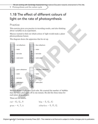 1 Photosynthesis and the carbon cycle
1.1B The effect of different colours of
light on the rate of photosynthesis
Practice
This exercise gives you practice in recording results, and also thinking
about variables in an experiment.
Marcus wanted to find out which colour of light would make a plant
photosynthesise fastest.
The diagram shows the apparatus that he set up.
red cellophane
water
water plant
test-tube
blue cellophane
water
water plant
test-tube
green cellophane
water
water plant
test-tube
colourless cellophane
water
water plant
test-tube
Marcus shone a light onto each tube. He counted the number of bubbles
that the water plant gave off in one minute. He did this three times for
each piece of pondweed.
These are his results.
red - 10, 12, 11 blue - 8, 12, 10
green - 4, 5, 6 colourless - 11, 13, 12
4
S
A
M
P
L
E
We are working with Cambridge Assessment International Education towards endorsement of this title.
Original material © Cambridge University Press 2021. This material is not final and is subject to further changes prior to publication.
 