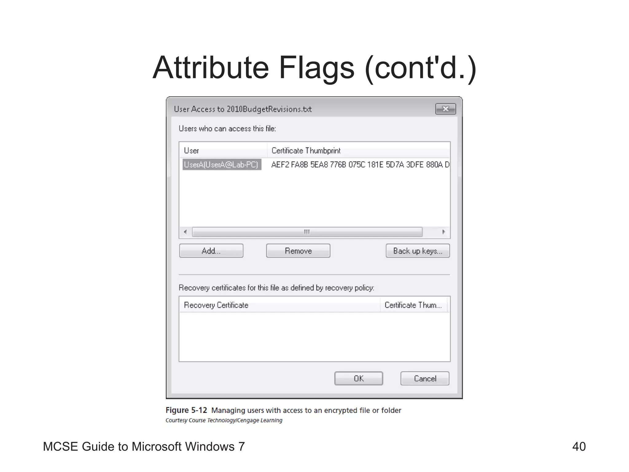 Attribute Flags (cont'd.) MCSE Guide to Microsoft Windows 7 