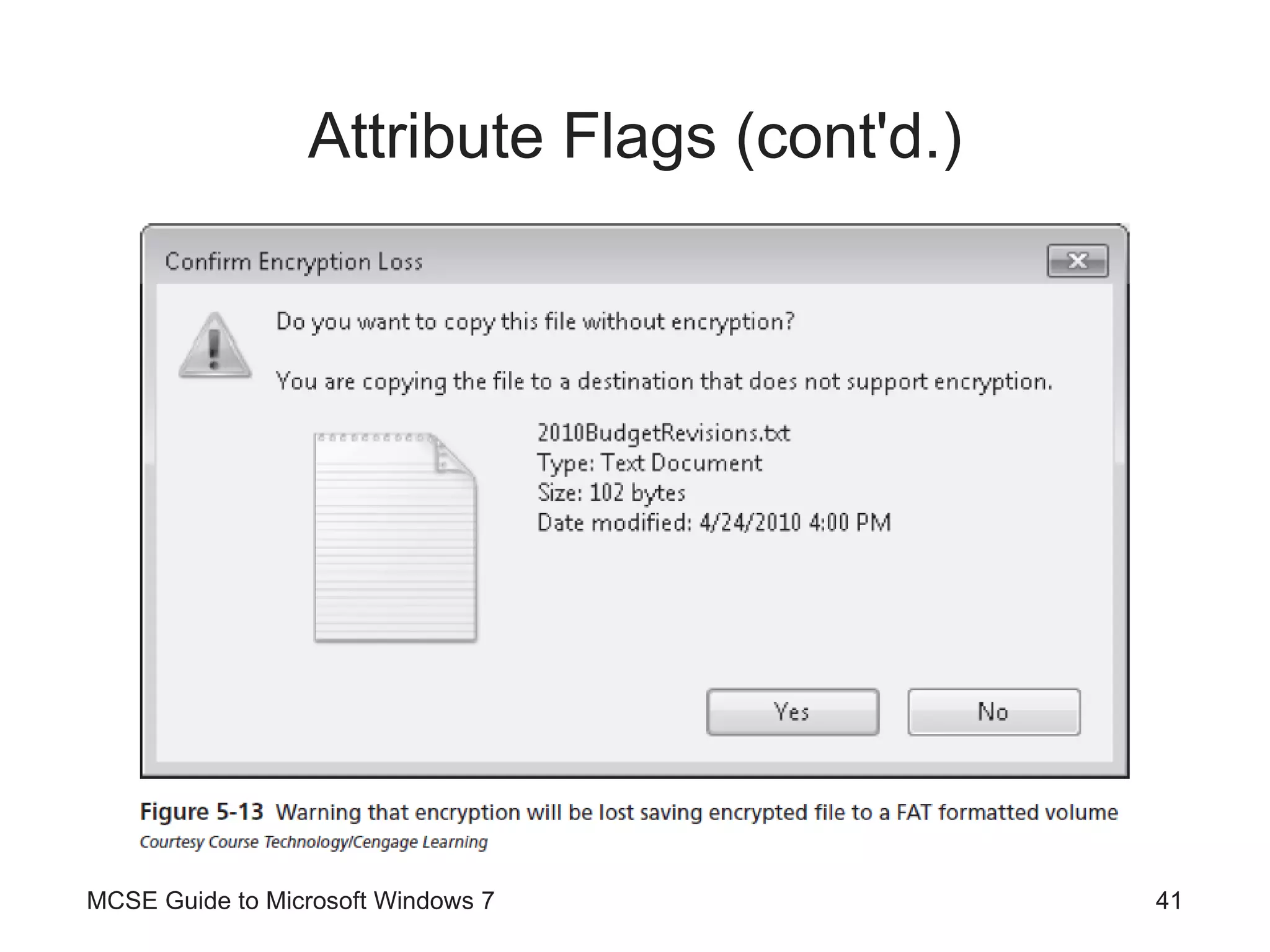 Attribute Flags (cont'd.) MCSE Guide to Microsoft Windows 7 