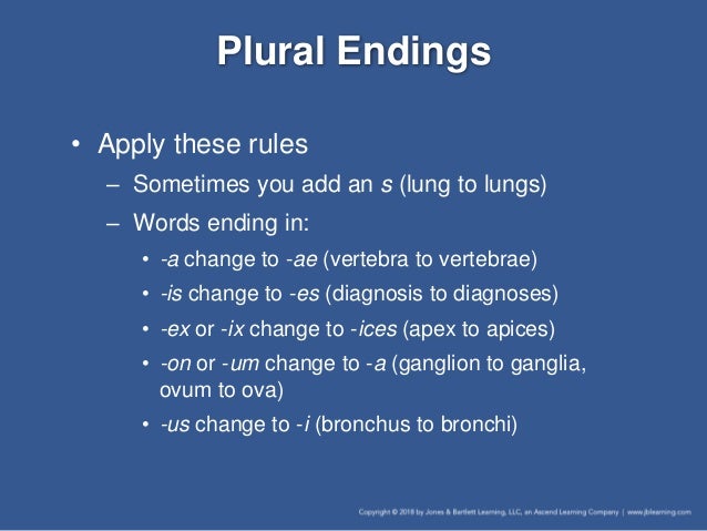 medical terminology singular form of ganglia