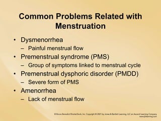 Common Problems Related with
Menstruation
• Dysmenorrhea
– Painful menstrual flow
• Premenstrual syndrome (PMS)
– Group of...