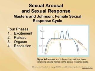 Sexual Arousal
and Sexual Response
Masters and Johnson: Female Sexual
Response Cycle
Four Phases
1. Excitement
2. Plateau
...