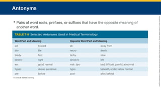 Copyright
©
2023
by
Jones
&
Bartlett
Learning,
LLC,
an
Ascend
Learning
Company
and
the
American
Academy
of
Orthopaedic
Surgeons.
Antonyms
 Pairs of word roots, prefixes, or suffixes that have the opposite meaning of
another word.
© Jones & Bartlett Learning.
 