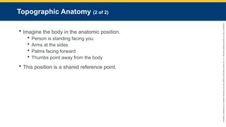 Copyright
©
2023
by
Jones
&
Bartlett
Learning,
LLC,
an
Ascend
Learning
Company
and
the
American
Academy
of
Orthopaedic
Surgeons.
Topographic Anatomy (2 of 2)
 Imagine the body in the anatomic position.
 Person is standing facing you.
 Arms at the sides
 Palms facing forward
 Thumbs point away from the body
 This position is a shared reference point.
 