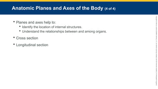 Copyright
©
2023
by
Jones
&
Bartlett
Learning,
LLC,
an
Ascend
Learning
Company
and
the
American
Academy
of
Orthopaedic
Surgeons.
Anatomic Planes and Axes of the Body (4 of 4)
 Planes and axes help to:
 Identify the location of internal structures.
 Understand the relationships between and among organs.
 Cross section
 Longitudinal section
 
