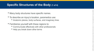 Copyright
©
2023
by
Jones
&
Bartlett
Learning,
LLC,
an
Ascend
Learning
Company
and
the
American
Academy
of
Orthopaedic
Surgeons.
Specific Structures of the Body (1 of 4)
 Many body structures have specific names.
 To describe an injury’s location, paramedics use:
 Anatomic planes, body surfaces, and imaginary lines
 Familiarize yourself with these regions to:
 Communicate effectively with other professionals
 Help you break down other terms
 