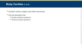 Copyright
©
2023
by
Jones
&
Bartlett
Learning,
LLC,
an
Ascend
Learning
Company
and
the
American
Academy
of
Orthopaedic
Surgeons.
Body Cavities (1 of 3)
 Contain various organs and other structures
 Can be grouped into:
 Dorsal cavities (posterior)
 Ventral cavities (anterior)
 