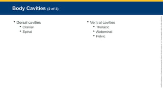 Copyright
©
2023
by
Jones
&
Bartlett
Learning,
LLC,
an
Ascend
Learning
Company
and
the
American
Academy
of
Orthopaedic
Surgeons.
Body Cavities (2 of 3)
 Dorsal cavities
 Cranial
 Spinal
 Ventral cavities
 Thoracic
 Abdominal
 Pelvic
 