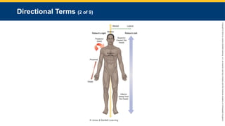 Copyright
©
2023
by
Jones
&
Bartlett
Learning,
LLC,
an
Ascend
Learning
Company
and
the
American
Academy
of
Orthopaedic
Surgeons.
Directional Terms (2 of 9)
© Jones & Bartlett Learning.
 