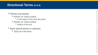 Copyright
©
2023
by
Jones
&
Bartlett
Learning,
LLC,
an
Ascend
Learning
Company
and
the
American
Academy
of
Orthopaedic
Surgeons.
Directional Terms (9 of 9)
 Palmar and plantar
 Palmar (or volar) surface
 Front region of the hand (the palm)
 Plantar (or volar) surface
 Bottom of the foot
 Apex (plural apices or apexes)
 Tip(s) of a structure
 