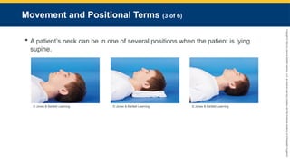 Copyright
©
2023
by
Jones
&
Bartlett
Learning,
LLC,
an
Ascend
Learning
Company
and
the
American
Academy
of
Orthopaedic
Surgeons.
Movement and Positional Terms (3 of 6)
 A patient’s neck can be in one of several positions when the patient is lying
supine.
© Jones & Bartlett Learning. © Jones & Bartlett Learning. © Jones & Bartlett Learning.
 