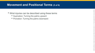 Copyright
©
2023
by
Jones
&
Bartlett
Learning,
LLC,
an
Ascend
Learning
Company
and
the
American
Academy
of
Orthopaedic
Surgeons.
Movement and Positional Terms (5 of 6)
 Wrist injuries can be described using these terms
 Supination: Turning the palms upward
 Pronation: Turning the palms downward
 