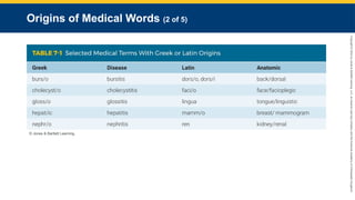 Copyright
©
2023
by
Jones
&
Bartlett
Learning,
LLC,
an
Ascend
Learning
Company
and
the
American
Academy
of
Orthopaedic
Surgeons.
Origins of Medical Words (2 of 5)
© Jones & Bartlett Learning.
 