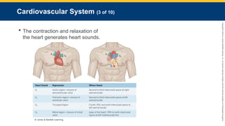 Copyright
©
2023
by
Jones
&
Bartlett
Learning,
LLC,
an
Ascend
Learning
Company
and
the
American
Academy
of
Orthopaedic
Surgeons.
Cardiovascular System (3 of 10)
 The contraction and relaxation of
the heart generates heart sounds.
© Jones & Bartlett Learning.
 