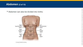 Copyright
©
2023
by
Jones
&
Bartlett
Learning,
LLC,
an
Ascend
Learning
Company
and
the
American
Academy
of
Orthopaedic
Surgeons.
Abdomen (2 of 13)
 Abdomen can also be divided into ninths.
© Jones & Bartlett Learning.
 