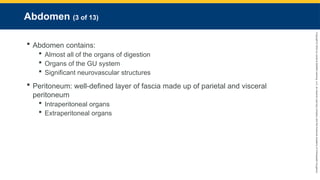 Copyright
©
2023
by
Jones
&
Bartlett
Learning,
LLC,
an
Ascend
Learning
Company
and
the
American
Academy
of
Orthopaedic
Surgeons.
Abdomen (3 of 13)
 Abdomen contains:
 Almost all of the organs of digestion
 Organs of the GU system
 Significant neurovascular structures
 Peritoneum: well-defined layer of fascia made up of parietal and visceral
peritoneum
 Intraperitoneal organs
 Extraperitoneal organs
 