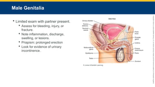 Copyright
©
2023
by
Jones
&
Bartlett
Learning,
LLC,
an
Ascend
Learning
Company
and
the
American
Academy
of
Orthopaedic
Surgeons.
Male Genitalia
 Limited exam with partner present.
 Assess for bleeding, injury, or
fracture.
 Note inflammation, discharge,
swelling, or lesions.
 Priapism: prolonged erection
 Look for evidence of urinary
incontinence.
© Jones & Bartlett Learning.
 