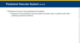 Copyright
©
2023
by
Jones
&
Bartlett
Learning,
LLC,
an
Ascend
Learning
Company
and
the
American
Academy
of
Orthopaedic
Surgeons.
Peripheral Vascular System (2 of 5)
 Perfusion occurs in the peripheral circulation.
 Diseases of the peripheral vascular system are often seen in patients with other
underlying medical conditions.
 