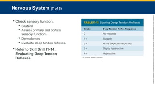 Copyright
©
2023
by
Jones
&
Bartlett
Learning,
LLC,
an
Ascend
Learning
Company
and
the
American
Academy
of
Orthopaedic
Surgeons.
Nervous System (7 of 8)
 Check sensory function.
 Bilateral
 Assess primary and cortical
sensory functions.
 Dermatomes
 Evaluate deep tendon reflexes.
 Refer to Skill Drill 11-14:
Evaluating Deep Tendon
Reflexes. © Jones & Bartlett Learning.
 
