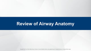 Copyright © 2021 by Public Safety Group, A Division of Jones & Bartlett Learning. www.psglearning.com. Background texture © Bunphot/Getty Images.
Review of Airway Anatomy
 