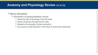 Copyright
©
2023
by
Jones
&
Bartlett
Learning,
LLC,
an
Ascend
Learning
Company
and
the
American
Academy
of
Orthopaedic
Surgeons.
Anatomy and Physiology Review (12 of 12)
 Nerve stimulation
 Stimulation of parasympathetic nerves
 Slows the rate of discharge of the SA node
 Slows conduction through the AV node
 Weakens the strength of atrial contraction
 Can cause a small reduction in the force of ventricular contraction
 