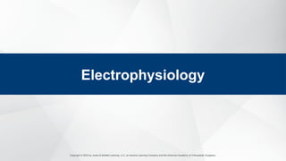 Copyright © 2023 by Jones & Bartlett Learning, LLC, an Ascend Learning Company and the American Academy of Orthopaedic Surgeons.
Electrophysiology
 