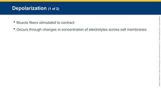 Copyright
©
2023
by
Jones
&
Bartlett
Learning,
LLC,
an
Ascend
Learning
Company
and
the
American
Academy
of
Orthopaedic
Surgeons.
Depolarization (1 of 2)
 Muscle fibers stimulated to contract
 Occurs through changes in concentration of electrolytes across cell membranes
 