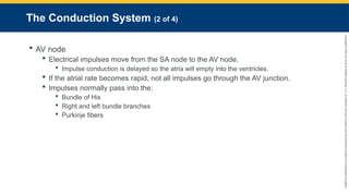 Copyright
©
2023
by
Jones
&
Bartlett
Learning,
LLC,
an
Ascend
Learning
Company
and
the
American
Academy
of
Orthopaedic
Surgeons.
The Conduction System (2 of 4)
 AV node
 Electrical impulses move from the SA node to the AV node.
 Impulse conduction is delayed so the atria will empty into the ventricles.
 If the atrial rate becomes rapid, not all impulses go through the AV junction.
 Impulses normally pass into the:
 Bundle of His
 Right and left bundle branches
 Purkinje fibers
 
