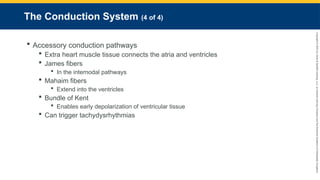 Copyright
©
2023
by
Jones
&
Bartlett
Learning,
LLC,
an
Ascend
Learning
Company
and
the
American
Academy
of
Orthopaedic
Surgeons.
The Conduction System (4 of 4)
 Accessory conduction pathways
 Extra heart muscle tissue connects the atria and ventricles
 James fibers
 In the internodal pathways
 Mahaim fibers
 Extend into the ventricles
 Bundle of Kent
 Enables early depolarization of ventricular tissue
 Can trigger tachydysrhythmias
 