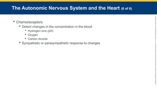 Copyright
©
2023
by
Jones
&
Bartlett
Learning,
LLC,
an
Ascend
Learning
Company
and
the
American
Academy
of
Orthopaedic
Surgeons.
The Autonomic Nervous System and the Heart (6 of 6)
 Chemoreceptors
 Detect changes in the concentration in the blood
 Hydrogen ions (pH)
 Oxygen
 Carbon dioxide
 Sympathetic or parasympathetic response to changes
 