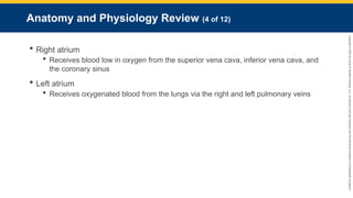 Copyright
©
2023
by
Jones
&
Bartlett
Learning,
LLC,
an
Ascend
Learning
Company
and
the
American
Academy
of
Orthopaedic
Surgeons.
Anatomy and Physiology Review (4 of 12)
 Right atrium
 Receives blood low in oxygen from the superior vena cava, inferior vena cava, and
the coronary sinus
 Left atrium
 Receives oxygenated blood from the lungs via the right and left pulmonary veins
 