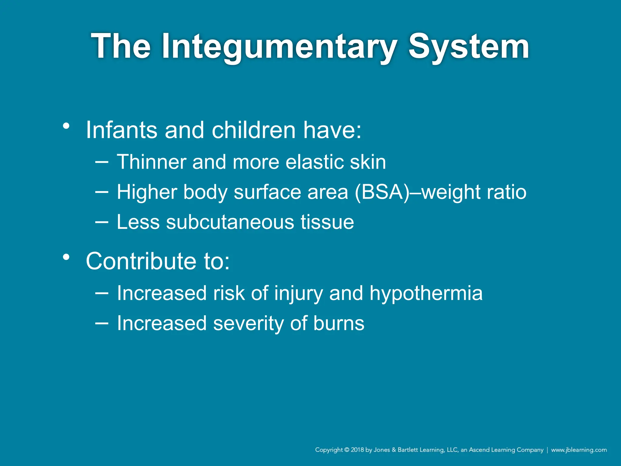 The Integumentary System
• Infants and children have:
− Thinner and more elastic skin
− Higher body surface area (BSA)–weight ratio
− Less subcutaneous tissue
• Contribute to:
− Increased risk of injury and hypothermia
− Increased severity of burns
 