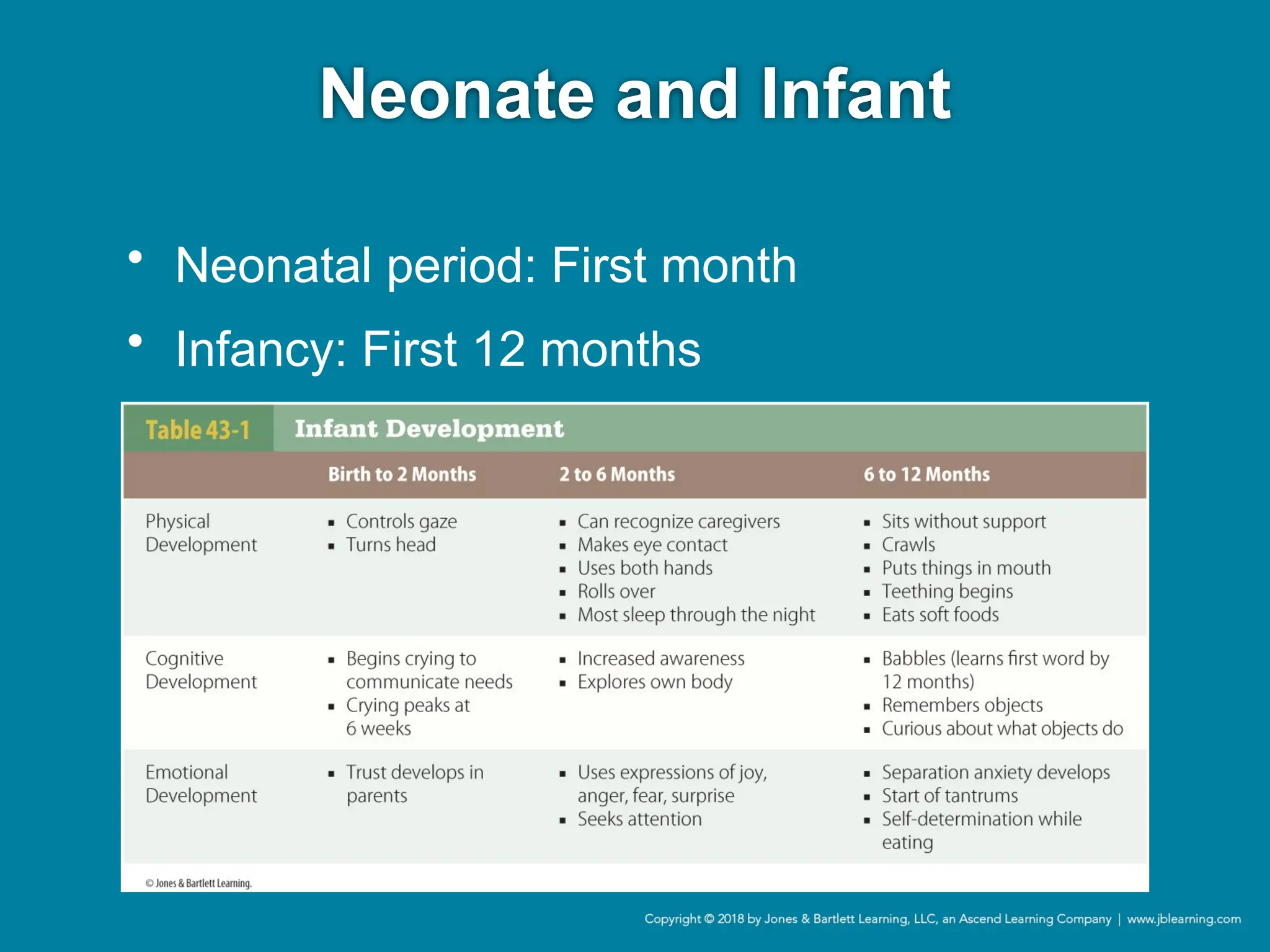 Neonate and Infant
• Neonatal period: First month
• Infancy: First 12 months
 