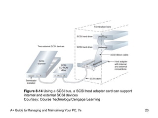 A+ Guide to Managing and Maintaining Your PC, 7e Figure 8-14  Using a SCSI bus, a SCSI host adapter card can support internal and external SCSI devices Courtesy: Course Technology/Cengage Learning 