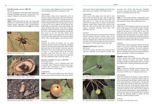 9781840760514 sample | PDF | Gardening | Home & Garden