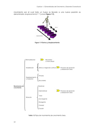 Capitulo 1 / Generalidades del Crecimiento y Desarrollo Craneofacial
movimiento por el cual todo un hueso es llevado a una nueva posición es
denominado desplazamiento11,12 (véase Figura 1.9).
Figura 1.9 Deriva y desplazamiento
Remodelación Recambio
a nivel celular
Modelación Deriva o migración cortical Procesos de aposición
y reabsorción ósea
Primario
Desplazamiento
o traslación
Secundario
Movimientos de
crecimiento
Matricial
Intermatricial Procesos de aposición
y reabsorción ósea
Total
Rotación
Convergente
Divergente
Craneal
Caudal
Tabla 1.2 Tipos de movimientos de crecimiento óseo.
12
 