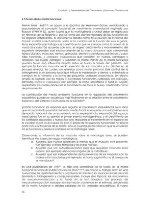 Capitulo 1 / Generalidades del Crecimiento y Desarrollo Craneofacial
4.3 Teoría de la matriz funcional
Melvin Moss 196829,30, se opuso a la doctrina de Weinmann-Sicher, revitalizando y
popularizando el concepto funcional de crecimiento craneofacial originado por
Klaauw (1948-1952), quien sugirió que la morfogénesis craneal debe ser explicada
en términos de la filogenia y que la forma del cráneo resultaba de las funciones de
los órganos adyacentes. El documento detalla cómo la evolución de la forma del
cráneo estaba estrechamente unida a los cambios en la función de esos órganos.
Moss expandió este trabajo y lo convirtió en lo que se conoce como la teoría de la
matriz funcional. De acuerdo con ésta, el origen, crecimiento y mantenimiento del
esqueleto dependen casi exclusivamente de la matriz funcional, que comprende
tejidos blandos, músculos, nervios, glándulas, dientes y cavidades que llevan a cabo
tales funciones, y unidades esqueléticas que consisten en huesos, cartílagos o
tendones, los cuales protegen y soportan la matriz. Partes de la matriz funcional
pueden tener una influencia directa sobre el hueso a través del periostio, por
ejemplo la función muscular en la inserción de los músculos y los dientes en el
proceso alveolar, las cuales son referidas como matriz periostal. Este control de la
osteogénesis es un proceso local que influye la modelación y deriva, y es limitado a
cambios en el tamaño y la forma de pequeñas unidades anatómicas. Un efecto
amplio es logrado por los tejidos y cavidades funcionales rodeadas por cápsulas,
llamadas matrices capsulares, por ejemplo, la masa encefálica o toda la función
respiratoria, las cuales producen el movimiento de todo el hueso, clasificado como
desplazamiento.
La contribución del medio ambiente funcional en la regulación del crecimiento
esquelético puede ser visualizada más fácilmente en la relación entre el crecimiento
expansivo del cerebro y los huesos de la bóveda29.
¿Cómo funcionan los espacios que regulan el crecimiento esquelético? Moss dice
que el crecimiento posnatal del tercio medio facial es en parte una adaptación a la
demanda funcional de un incremento en la respiración. La expansión del espacio
nasal aéreo fue en su opinión el primer evento morfogenético, y el crecimiento de
los cartílagos asociados y huesos fue una respuesta al incremento en el espacio de
la cavidad nasal, no la causa de éste. El papel de los espacios funcionales ha sido la
parte más controversial de la teoría; esto se muestra en los casos en que la vía aérea
no es funcional y produce cambios en la morfología nasal.
Observando la influencia de los músculos sobre la morfología ósea, se pueden
identificar tres clases de rasgos morfológicos:
a. Aquellos que nunca aparecen a menos que el músculo esté presente;
por ejemplo, la línea temporal y las líneas nucales.
b. Aquellos que son autodiferenciados pero que requieren músculos para
persistir; por ejemplo, el proceso angular de la mandíbula.
c. Aquellos que son independientes de la presencia de los músculos con los
cuales están asociados; por ejemplo, el hueso cigomático o el cuerpo de
la mandíbula13.
En una publicación de 199731 se hizo una semblanza de la teoría de la matriz
funcional reportando publicaciones de Moss32,33,34, en donde su trabajo entra en una
nueva fase de replanteamiento y corroboración frente a los avances en las ciencias
biomédica, bioingeniería y computacionales. Incluye dos tópicos: los mecanismos
de mecanotransducción y la teoría de la red biológica. Los procesos de
mecanotransducción trasladan la información contenida en el estímulo del periostio
de la matriz funcional a señales celulares de las unidades esqueléticas. El hueso
16
 