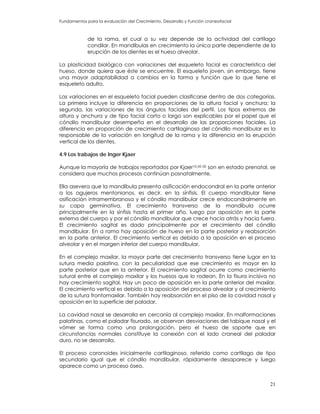 Fundamentos para la evaluación del Crecimiento, Desarrollo y Función craneofacial
de la rama, el cual a su vez depende de la actividad del cartílago
condilar. En mandíbulas en crecimiento la única parte dependiente de la
erupción de los dientes es el hueso alveolar.
La plasticidad biológica con variaciones del esqueleto facial es característica del
hueso, donde quiera que éste se encuentre. El esqueleto joven, sin embargo, tiene
una mayor adaptabilidad a cambios en la forma y función que lo que tiene el
esqueleto adulto.
Las variaciones en el esqueleto facial pueden clasificarse dentro de dos categorías.
La primera incluye la diferencia en proporciones de la altura facial y anchura; la
segunda, las variaciones de los ángulos faciales del perfil. Los tipos extremos de
altura y anchura y de tipo facial corto o largo son explicables por el papel que el
cóndilo mandibular desempeña en el desarrollo de las proporciones faciales. La
diferencia en proporción de crecimiento cartilaginoso del cóndilo mandibular es la
responsable de la variación en longitud de la rama y la diferencia en la erupción
vertical de los dientes.
4.9 Los trabajos de Inger Kjaer
Aunque la mayoría de trabajos reportados por Kjaer10,45-50 son en estado prenatal, se
considera que muchos procesos continúan posnatalmente.
Ella asevera que la mandíbula presenta osificación endocondral en la parte anterior
a los agujeros mentonianos, es decir, en la sínfisis. El cuerpo mandibular tiene
osificación intramembranosa y el cóndilo mandibular crece endocondralmente en
su capa germinativa. El crecimiento transverso de la mandíbula ocurre
principalmente en la sínfisis hasta el primer año, luego por aposición en la parte
externa del cuerpo y por el cóndilo mandibular que crece hacia atrás y hacia fuera.
El crecimiento sagital es dado principalmente por el crecimiento del cóndilo
mandibular. En a rama hay aposición de hueso en la parte posterior y reabsorción
en la parte anterior. El crecimiento vertical es debido a la aposición en el proceso
alveolar y en el margen inferior del cuerpo mandibular.
En el complejo maxilar, la mayor parte del crecimiento transverso tiene lugar en la
sutura media palatina, con la peculiaridad que ese crecimiento es mayor en la
parte posterior que en la anterior. El crecimiento sagital ocurre como crecimiento
sutural entre el complejo maxilar y los huesos que lo rodean. En la fisura incisiva no
hay crecimiento sagital. Hay un poco de aposición en la parte anterior del maxilar.
El crecimiento vertical es debido a la aposición del proceso alveolar y al crecimiento
de la sutura frontomaxilar. También hay reabsorción en el piso de la cavidad nasal y
aposición en la superficie del paladar.
La cavidad nasal se desarrolla en cercanía al complejo maxilar. En malformaciones
palatinas, como el paladar fisurado, se observan desviaciones del tabique nasal y el
vómer se forma como una prolongación, pero el hueso de soporte que en
circunstancias normales constituye la conexión con el lado craneal del paladar
duro, no se desarrolla.
El proceso coronoides inicialmente cartilaginoso, referido como cartílago de tipo
secundario igual que el cóndilo mandibular, rápidamente desaparece y luego
aparece como un proceso óseo.
21
 