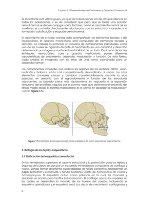 Capitulo 1 / Generalidades del Crecimiento y Desarrollo Craneofacial
Es importante este último grupo, ya que las maloclusiones son de alta prevalencia en
todas las poblaciones, y es de considerar que para que se forme una oclusión
dental normal se deben conjugar varios factores, como el crecimiento normal de los
maxilares, el cual está directamente relacionado con las estructuras craneales y la
formación, calcificación y erupción dental normal.
El crecimiento de la base craneal está acompañado de elementos faciales y del
neurocráneo. El aparato masticatorio está compuesto de elementos faciales y
dentales. La cabeza es entonces un mosaico de componentes individuales, cada
uno de los cuales se agranda durante el crecimiento en una cantidad y dirección
determinada para lograr y mantener la estabilidad de un todo. Cada una de las tres
entidades, neurocráneo, cara y aparato masticatorio, posee diferentes
características de crecimiento, desarrollo, maduración y función. De esta forma,
cada unidad es integrada con las otras de una forma coordinada para un
desarrollo normal1.
Los componentes craneales que rodean los órganos de los sentidos, olfato, visión,
audición y balance están casi completamente desarrollados al nacer. Los otros
elementos craneales crecen y cambian considerablemente durante la vida
posnatal, en armonía con el agrandamiento y función de las estructuras
adyacentes. La bóveda crece más rápidamente en respuesta a la expansión
temprana del encéfalo, seguida por el sistema nasal que determina el desarrollo del
tercio medio facial. El sistema masticatorio es el último en alcanzar la maduración1
(véase Figura 1.5).
Figura 1.5 Cambios en proporciones de la cabeza y la cara durante el crecimiento.
3. Biología de los tejidos esqueléticos
3.1 Osificación del esqueleto craneofacial
En los vertebrados superiores el soporte estructural y la protección para los tejidos y
órganos del cuerpo se dan por un esqueleto mineralizado compuesto de cartílago y
hueso. Siendo formas altamente especializadas de tejido conectivo, representan un
papel protector y estructural, y tienen funciones vitales de homeostasis de calcio y
hematopoyesis. El esqueleto actúa como palanca en la cual los músculos y
tendones se anclan para facilitar la locomoción. El cartílago aporta los modelos en
los cuales se desarrollan la mayoría de los huesos del cuerpo, incluyendo el
esqueleto apendicular y el esqueleto axial. Los discos de crecimiento cartilaginoso y
6
 