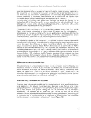 Fundamentos para la evaluación del Crecimiento, Desarrollo y Función craneofacial
las sincondrosis constituyen una parte importante de los mecanismos de crecimiento
del esqueleto. Los huesos del cráneo, con excepción de los del condrocráneo, no
son formados por precursores cartilaginosos; son derivados filogenéticamente de
láminas dermales y provienen directamente de la osificación de centros que
aparecen dentro del ectomesénquima de desarrollo de la cabeza14.
La estructura morfológica del tejido óseo formado de estas dos formas no es
distinguible al final de su formación. Se cree que el control sobre la iniciación de la
osteogénesis no está en las células preosteogénicas sino en los tejidos adyacentes
con los cuales ellas interactúan inductivamente1.
El hueso está compuesto por cuatro tipos de células: células que cubren la superficie
ósea, osteoblastos, osteocitos y osteoclastos. El origen de los osteoblastos y
osteoclastos al menos posnatalmente, es de poblaciones celulares distintas; los
primeros se derivan de células mesenquimales, mientras los segundos son de origen
hematopoyético, derivados de células del linaje monocitimacrófafo13.
Los osteoblastos según su sitio de origen y localización anatómica tienen diferencias
bioquímicas. In vitro, se ha mostrado que los osteoblastos humanos provenientes de
hueso de origen de células de la cresta neural (mandíbula) y los osteoblastos de
origen mesodérmico (cresta iliaca) tienen diferencias en el contenido de FGF-2
(factor de crecimiento fibroblástico) y IGF-II (factor de crecimiento insulínico). Por
otro lado, la expresión de TGF-β (factor de crecimiento trofoblástico), se incrementa
en osteoblastos de cresta iliaca, la cual también se divide más lentamente. Acerca
de esto, Hall en 1999, citado por Meikle13 sugiere que esas diferencias cuentan para
una superioridad del hueso proveniente de las células de cresta neural comparado
con el hueso mesodérmico, en procedimientos clínicos de injerto óseo.
3.2 La estructura y remodelación ósea
El hueso consiste de una corteza externa de hueso compacto o cortical ósea y una
trabécula interna en red de hueso reticular. Las trabéculas en el hueso reticular
están dispuestas a lo largo de líneas de máxima fuerza tensil y compresiva. Esas
líneas de fuerza son conocidas en teoría anatómica como “trayectorias”. La
estructura del hueso está morfológicamente adaptada a su función, esto le permite
una resistencia máxima con un mínimo de material13,14.
3.3 Formación y crecimiento del esqueleto
El primer signo microscópico visible de la esqueletogénesis, es el aglutinamiento de
una población de células mesenquimales dispersas para formar una masa
compacta celular o una condensación o blastema. Esta condensación es la tercera
de cuatro etapas que puede distinguirse en el desarrollo de un elemento
esquelético. La primera es la migración de células al sitio de la futura
esqueletogénesis, la segunda es la interacción epitelio-mesénquima que resulta en
la formación de la condensación y la cuarta es la diferenciación de las células
condensadas en condroblasto u osteoblasto13 (véase Figura 1.6).
7
 
