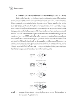 10 ขั้นตอนของชีวิต
7. การกลาย (mutation) และการคัดเลือกโดยธรรมชาติ (natural selection)
	 ชีวิตมีกำรปรับตัวและพัฒนำกำรเป็นขั้นตอนร่วมกับกำรเปลี่ยนแปลงภำยนอกคือในสิ่งแวดล้อม	
โดยผ่ำนกระบวนกำรที่เรียกว่ำ	กำรกลำยและกำรคัดเลือกโดยธรรมชำติ	ซึ่งกำรเกิดกระบวนกำรนี้จะ
ใช้ระยะเวลำค่อนข้ำงยำวนำน	ซึ่งเป็นปจจัยส�ำคัญในกระบวนกำรวิวัฒนำกำร	ดังที่	ชำร์ลส์	ดำร์วิน	
(ค.ศ.	1809-1882)	ได้ยกตัวอย่ำงเกี่ยวกับวิวัฒนำกำรของนกฟนช์	(finch)	ว่ำ	นกเหล่ำนี้มีบรรพบุรุษ
จำกทวีปอเมริกำใต้	จำกนั้นได้แพร่พันธุ์และเพิ่มจ�ำนวนประชำกรอย่ำงรวดเร็วบนหมู่เกำะกำลำปำกอส	
(Galapagos	Islands)	ซึ่งตั้งอยู่ในมหำสมุทรแปซิฟกห่ำงจำกชำยฝงทำงตะวันตกของประเทศเอกวำดอร์
ประมำณ	500	ไมล์	นกฟนช์ต้องประสบปญหำกำรขำดแคลนอำหำรและทรัพยำกรที่มีอยู่อย่ำงจ�ำกัด
บนหมู่เกำะกำลำปำกอส	ท�ำให้ต้องแข่งขันดิ้นรนเพื่อควำมอยู่รอด	ในขณะเดียวกันมีควำมแปรผันของ
ลักษณะเกิดขึ้น	ซึ่งสำมำรถถ่ำยทอดไปยังรุ่นต่อ	ๆ	ไปได้	เช่น	กำรมีจะงอยปำกที่แตกต่ำงกัน	เพื่อให้
เหมำะสมกับกำรใช้กินเมล็ดที่มีเปลือกแข็ง	กำรจิกแมลง	หรือคำบไม้เพื่อแหย่แมลงให้ออกจำกรู	กำร
เปลี่ยนแปลงลักษณะจำกรุ่นหนึ่งไปสู่อีกรุ่นหนึ่งในระยะเวลำที่ยำวนำน	เป็นผลให้เกิดกระบวนกำร
วิวัฒนำกำรและมีสปีชีส์ใหม่เกิดขึ้น	ดังภำพที่	1.7	ธรรมชำติจึงคัดเลือกสิ่งมีชีวิตที่มีควำมเหมำะสม
ที่สุด	ซึ่งสำมำรถอยู่รอดและปรับตัวได้ในสภำวะแวดล้อมที่เปลี่ยนแปลงไป
ภาพที่ 1.7		 ควำมแตกต่ำงของจะงอยปำกของนกฟนช์ในเกำะกำลำปำกอส	ซึ่งลักษณะดังกล่ำว					
มีควำมเกี่ยวข้องกับอุปนิสัยกำรกิน
 
