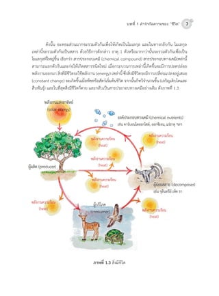 3บทที่ 1 คําจํากัดความของ “ชีวิต”
	 ดังนั้น	อะตอมส่วนมำกจะรวมตัวกันเพื่อให้เกิดเป็นโมเลกุล	และในทำงกลับกัน	โมเลกุล
เหล่ำนี้จะรวมตัวกันเป็นสสำร	ด้วยวิธีกำรดังกล่ำว	ธำตุ	1	ตัวหรือมำกกว่ำนั้นจะรวมตัวกันเพื่อเป็น
โมเลกุลที่ใหญ่ขึ้น	เรียกว่ำ	สำรประกอบเคมี	(chemical	compound)	สำรประกอบทำงเคมีเหล่ำนี้
สำมำรถแยกตัวกันและก่อให้เกิดสสำรชนิดใหม่	เมื่อกระบวนกำรเหล่ำนี้เกิดขึ้นจะมีกำรปลดปล่อย
พลังงำนออกมำ	สิ่งที่มีชีวิตจะใช้พลังงำน	(energy)	เหล่ำนี้	ซึ่งสิ่งมีชีวิตจะมีกำรเปลี่ยนแปลงอยู่เสมอ	
(constant	change)	จะเกิดขึ้นเมื่อพืชหรือสัตว์เริ่มต้นชีวิต	จำกนั้นก็ทวีจ�ำนวนขึ้น	(เจริญเติบโตและ
สืบพันธุ์)	และในที่สุดสิ่งมีชีวิตก็ตำย	และกลับเป็นสำรประกอบทำงเคมีอย่ำงเดิม	ดังภำพที่	1.3
ภาพที่ 1.3	สิ่งมีชีวิต
 