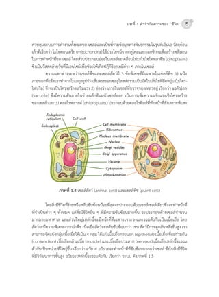 5บทที่ 1 คําจํากัดความของ “ชีวิต”
ควบคุมระบบกำรท�ำงำนทั้งหมดของเซลล์และเป็นที่รวมข้อมูลทำงพันธุกรรมในรูปดีเอ็นเอ	วัสดุก้อน
เล็กที่เรียกว่ำ	ไมโทคอนเดรีย	(mitochondria)	ใช้ประโยชน์จำกกลูโคสและออกซิเจนเพื่อสร้ำงพลังงำน
ในกำรท�ำหน้ำที่ของเซลล์	โดยส่วนประกอบย่อยในเซลล์จะเคลื่อนไปมำในไซโทพลำซึม	(cytoplasm)	
ซึ่งเป็นวัสดุคล้ำยวุ้นที่มีเอนไซม์เพื่อช่วยให้เกิดปฏิกิริยำเคมีต่ำง	ๆ	ภำยในเซลล์	
	 ควำมแตกต่ำงระหว่ำงเซลล์พืชและเซลล์สัตว์มี	3	ข้อพิเศษที่มีเฉพำะในเซลล์พืช	1)	ผนัง
ภำยนอกที่แข็งแรงท�ำจำกโมเลกุลรูปร่ำงเส้นตรงของเซลลูโลสห่อรวมเป็นมัดในเส้นใยที่ยืดหยุ่น	(ไมโคร-
ไฟบริล)	ซึ่งจะเป็นโครงสร้ำงเสริมแรง	2)	ช่องว่ำงภำยในเซลล์ที่บรรจุของเหลวอยู่	เรียกว่ำ	แวคิวโอล	
(vacuole)	ซึ่งมีควำมดันภำยในช่วยผลักดันผนังเซลล์ออก	เป็นกำรเพิ่มควำมแข็งแรงเชิงโครงสร้ำง
ของเซลล์	และ	3)	คลอโรพลำสต์	(chloroplasts)	ประกอบด้วยคลอโรฟลล์ที่ท�ำหน้ำที่สังเครำะห์แสง	
ภาพที่ 1.4	เซลล์สัตว์	(animal	cell)	และเซลล์พืช	(plant	cell)
	 โดยสิ่งมีชีวิตที่ง่ำยหรือสลับซับซ้อนน้อยที่สุดจะประกอบด้วยเซลล์เซลล์เดียวซึ่งจะท�ำหน้ำที่
ที่จ�ำเป็นต่ำง	ๆ	ทั้งหมด	แต่สิ่งมีชีวิตอื่น	ๆ	ที่มีควำมซับซ้อนมำกขึ้น	จะประกอบด้วยเซลล์จ�ำนวน
มำกมำยมหำศำล	และส่วนใหญ่เหล่ำนี้จะมีหน้ำที่ที่เฉพำะเจำะจงและรวมตัวกันเป็นเนื้อเยื่อ	โดย
สัตว์จะมีควำมพิเศษมำกกว่ำพืช	เนื้อเยื่อสัตว์จะสลับซับซ้อนกว่ำ	เช่น	สัตว์มีกระดูกสันหลังชั้นสูง	เรำ
สำมำรถจัดแบ่งกลุ่มเนื้อเยื่อได้เป็น	4	กลุ่ม	ได้แก่	เนื้อเยื่อภำยนอก	(epithelial)	เนื้อเยื่อเชื่อมร่วมกัน	
(conjunction)	เนื้อเยื่อกล้ำมเนื้อ	(muscle)	และเนื้อเยื่อประสำท	(nervous)	เนื้อเยื่อเหล่ำนี้จะรวม
ตัวกันเป็นหน่วยที่ใหญ่ขึ้น	เรียกว่ำ	อวัยวะ	อวัยวะจะท�ำหน้ำที่ที่ซับซ้อนมำกกว่ำเซลล์	ซึ่งในสิ่งมีชีวิต
ที่มีวิวัฒนำกำรชั้นสูง	อวัยวะเหล่ำนี้จะรวมตัวกัน	เรียกว่ำ	ระบบ	ดังภำพที่	1.5
 