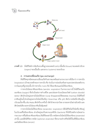 6 ขั้นตอนของชีวิต
ภาพที่ 1.5	 สิ่งมีชีวิตมีกำรจัดเรียงบนพื้นฐำนของเซลล์	(cells)	เนื้อเยื่อ	(tissues)	ของเซลล์	อวัยวะ	
(organs)	ของเนื้อเยื่อ	และระบบ	(systems)	ของอวัยวะ	
2. การแลกเปลี่ยนแกส (gas exchange)
	 สิ่งมีชีวิตทุกชนิดจะแลกเปลี่ยนแกสกับสภำพแวดล้อมผ่ำนกระบวนกำรที่เรียกว่ำ	กำรหำยใจ	
(respiration)	เปำหมำยหลักของกำรหำยใจ	คือ	ช่วยในกำรย่อยอินทรียสำรและปลดปล่อยพลังงำน
จำกโมเลกุลที่ถูกย่อยนั้น	มีกำรหำยใจ	2	แบบ	คือ	ใช้ออกซิเจนและไม่ใช้ออกซิเจน	
	 กำรหำยใจโดยอำศัยออกซิเจน	(aerobic	respiration)	ในกระบวนกำรนี้	สิ่งมีชีวิตจะรับ
ออกซิเจน	(oxygen)	ซึ่งจ�ำเป็นต่อกำรด�ำรงชีวิต	และปล่อยคำร์บอนไดออกไซด์	(carbon	dioxide)	
ออกมำ	สัตว์ส่วนใหญ่จะหำยใจโดยใช้ปอด	(lung)	ส่วนแมลงจะใช้หลอดลม	(trachea)	สิ่งมีชีวิตที่
อำศัยอยู่ในน�้ำส่วนใหญ่จะหำยใจโดยใช้เหงือก	(branchiae	หรือ	gill)	สัตว์บำงชนิดที่อำศัยอยู่ใน
บริเวณเปียกชื้น	เช่น	หนอน	สัตว์ครึ่งบกครึ่งน�้ำ	สัตว์จ�ำพวกปลำไหล	อำจจะหำยใจผ่ำนผิวหนัง	และ
สัตว์เซลล์เดียวจะหำยใจโดยอำศัยเยื่อหุ้มเซลล์
	 กำรหำยใจโดยไม่ใช้ออกซิเจน	(anaerobic	respiration)	มีสิ่งมีชีวิตไม่กี่ชนิดที่อำศัยอยู่
ในบริเวณที่ไม่มีออกซิเจน	ส่วนใหญ่จะเป็นพวกแบคทีเรีย	(bacteria)	ซึ่งได้รับพลังงำนโดยผ่ำน
กระบวนกำรที่ไม่ต้องอำศัยออกซิเจน	สิ่งมีชีวิตเหล่ำนี้บำงชนิดหำยใจโดยไม่ใช้ออกซิเจน	(anaerobe)	
เท่ำนั้น	และมีสิ่งมีชีวิตบำงชนิด	(optional	anaerobe)	ที่สำมำรถด�ำรงชีวิตได้ทั้งในที่ที่มีออกซิเจน
และไม่มีออกซิเจน	(anoxic)	
 